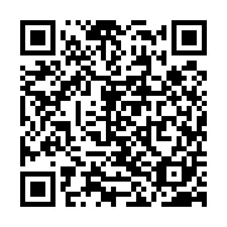 QR code for QLI501