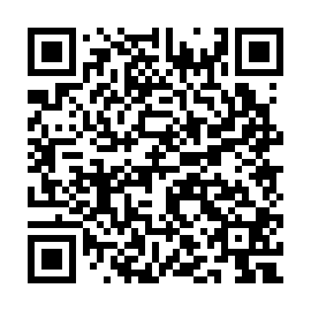 QR code for QLP-300