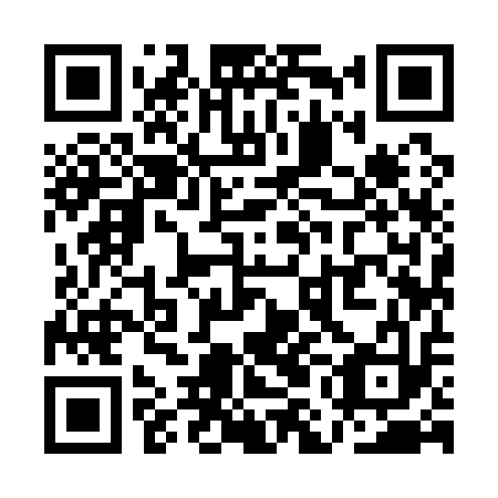 QR code for plate QMI-113