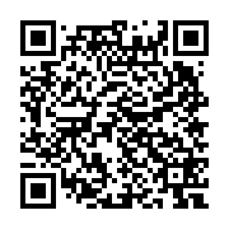 QR code for plate QNE-668