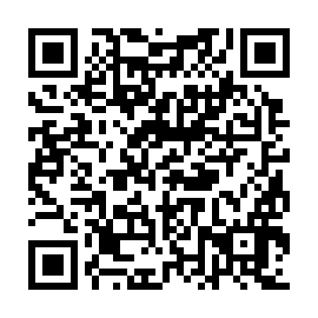 QR code for QNS396