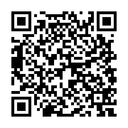 QR code for plate QNV-119