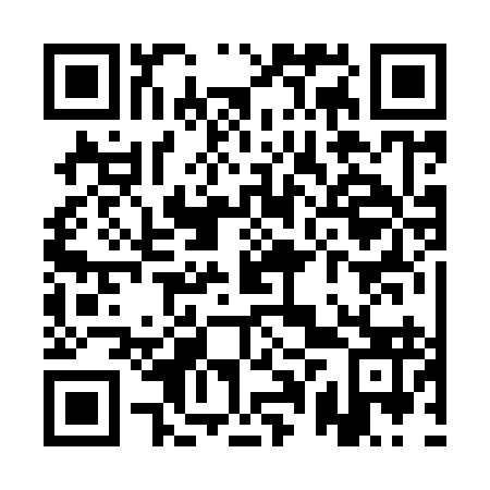 QR code for plate QPR-993