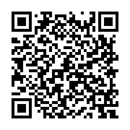 QR code for QSI-994