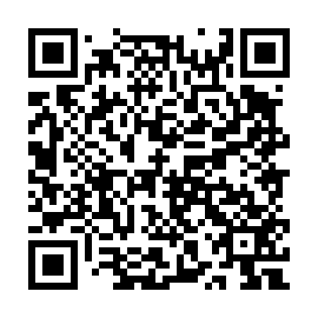 QR code for plate QXX-453