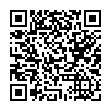 QR code for QYL-394