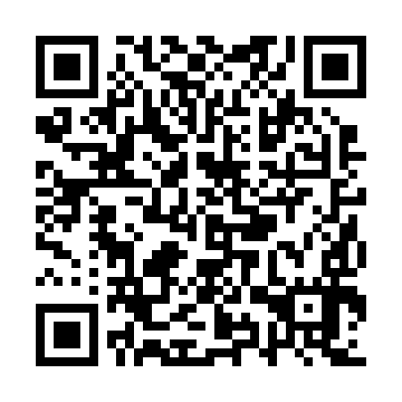 QR code for QYR297