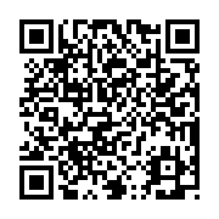 QR code for QYS919