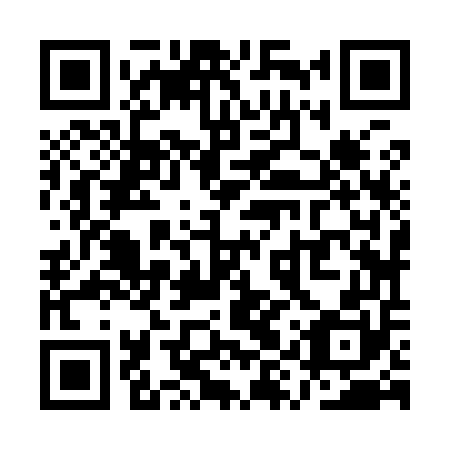 QR code for QYZ-950