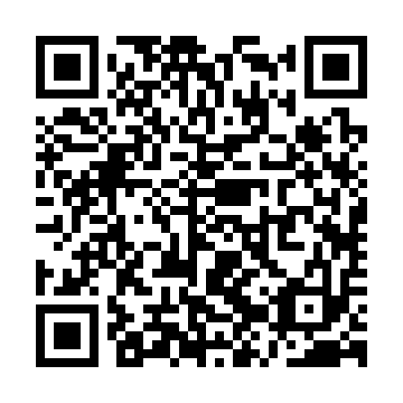 QR code for QZR-313