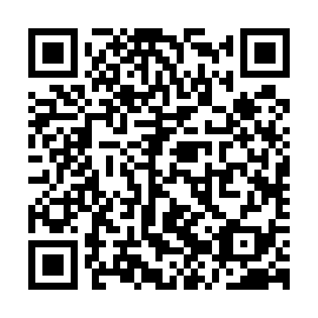 QR code for plate QZR-539