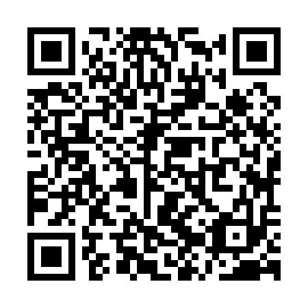 QR code for QZZ-113
