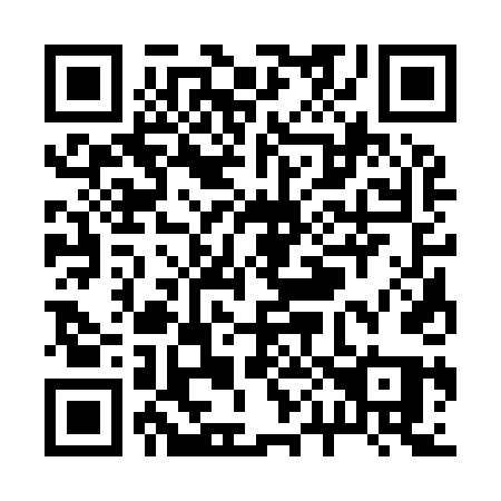 QR code for R0394Q