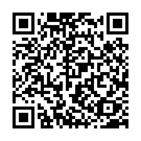 QR code for R0423X