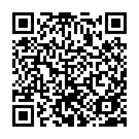 QR code for plate R11-20E