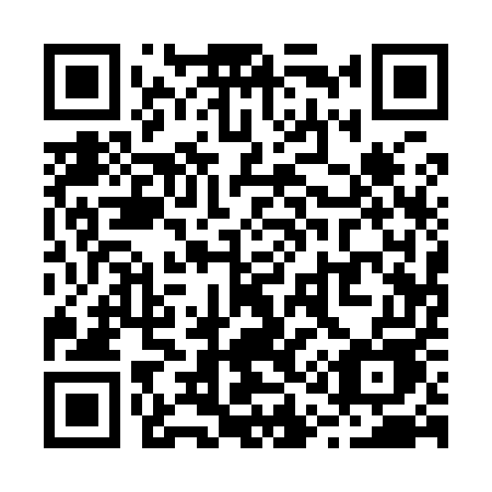 QR code for plate R11-95E