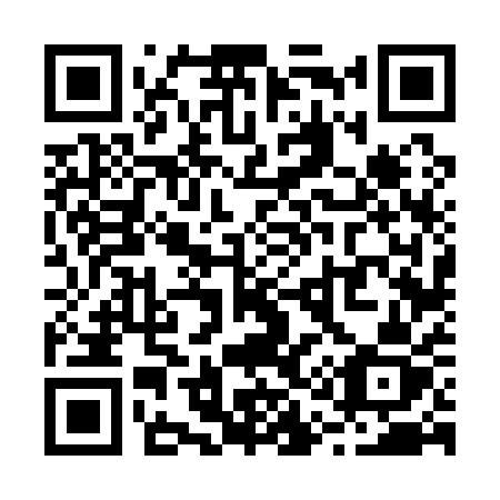 QR code for R1611Z