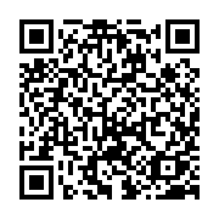QR code for R1919Q