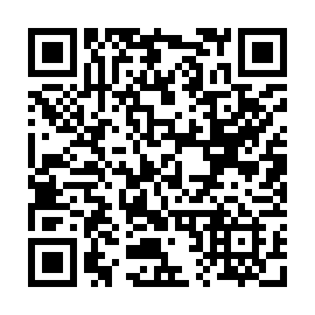 QR code for plate R21-96I