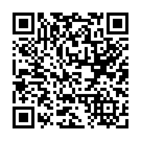 QR code for plate R22-38D