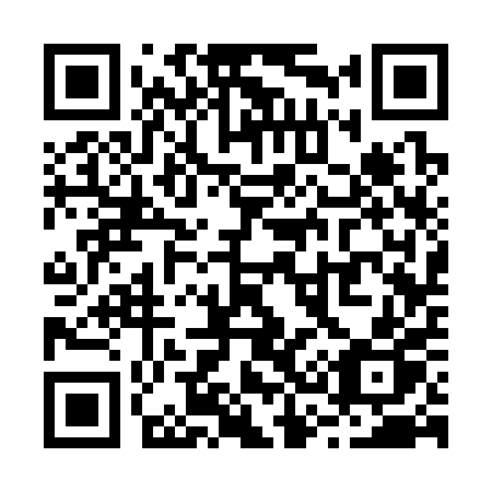QR code for R3330P