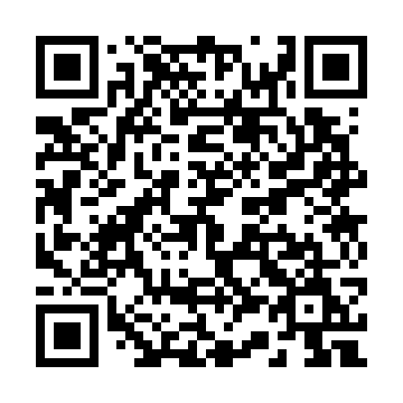 QR code for plate R33-77M
