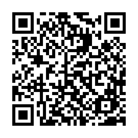 QR code for plate R38-06N