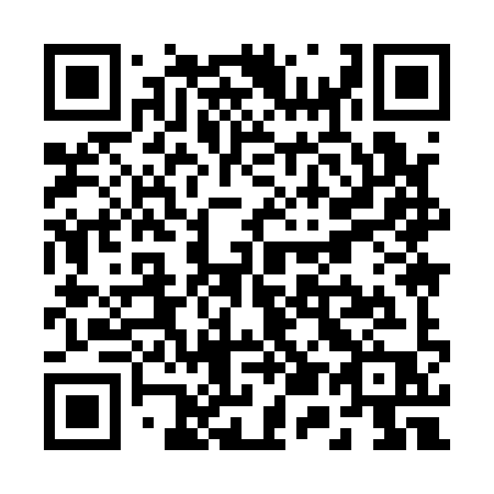 QR code for R5919P
