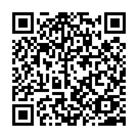 QR code for plate R63-53U