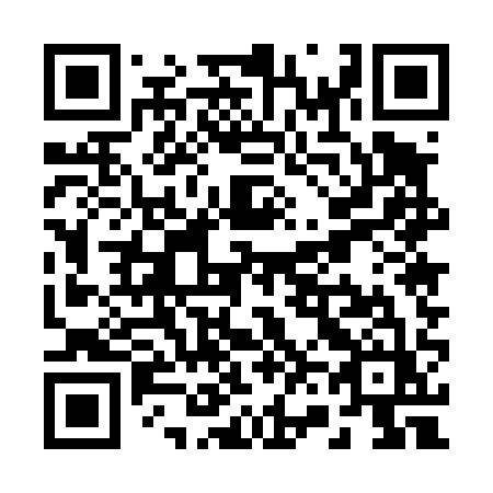 QR code for plate R65-41Z