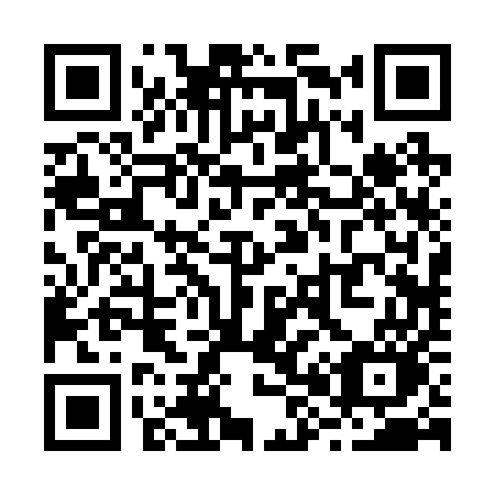 QR code for R8225O