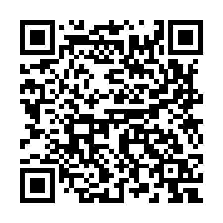 QR code for R8393S