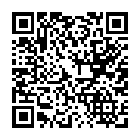 QR code for plate R84-38E