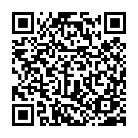 QR code for R85-46P
