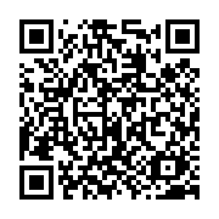 QR code for R9542M