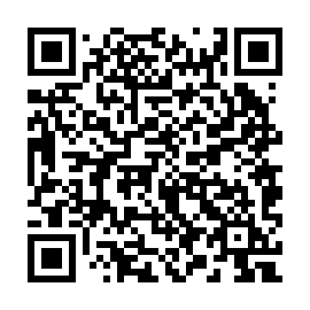 QR code for R96-29I
