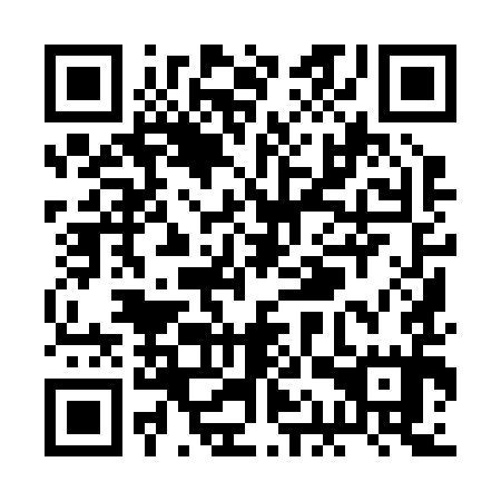 QR code for RAY-295