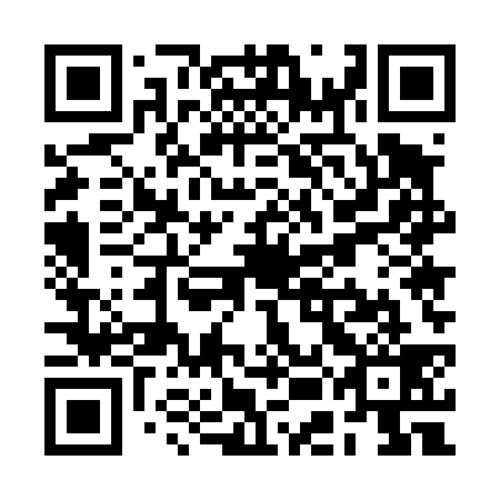 QR code for plate REE-439