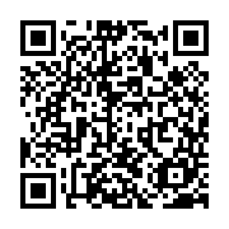 QR code for plate REY-045