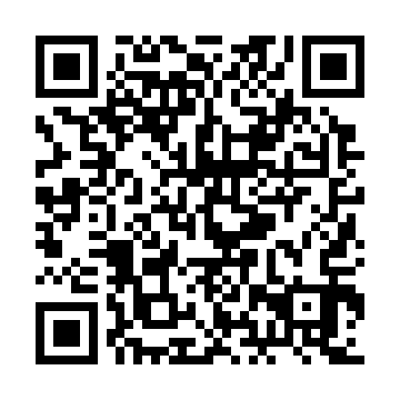 QR code for RHZ-313