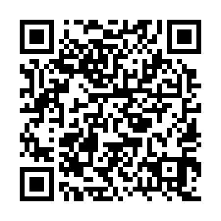 QR code for plate RPO-311