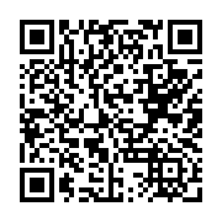 QR code for RSI493