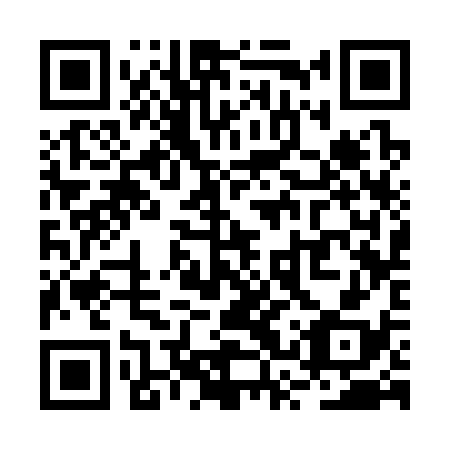 QR code for RSS338