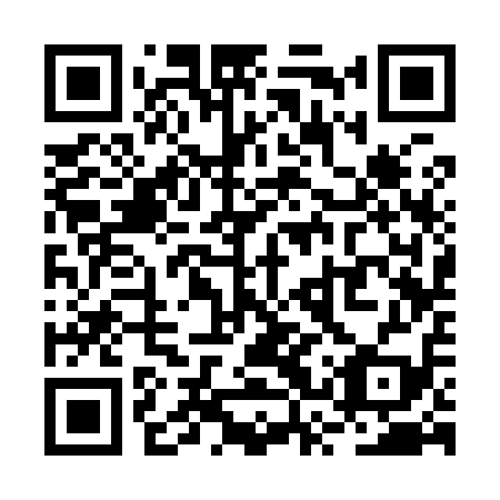 QR code for RSS919