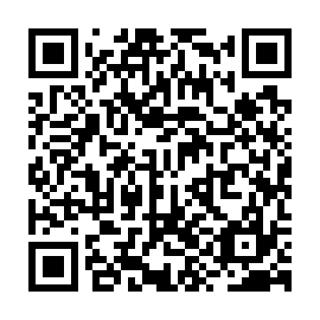 QR code for RYI-737