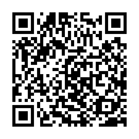 QR code for plate RYP-729
