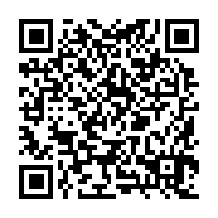 QR code for RYY-384
