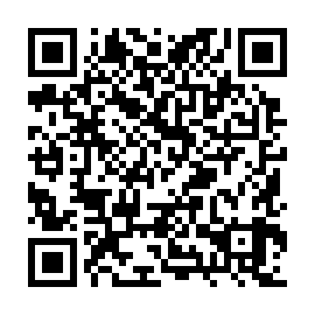 QR code for plate RYY-389