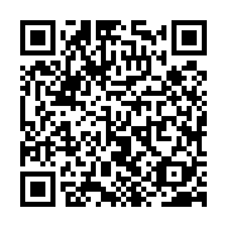 QR code for plate RYZ-529