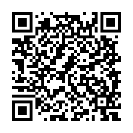 QR code for plate RZN-597